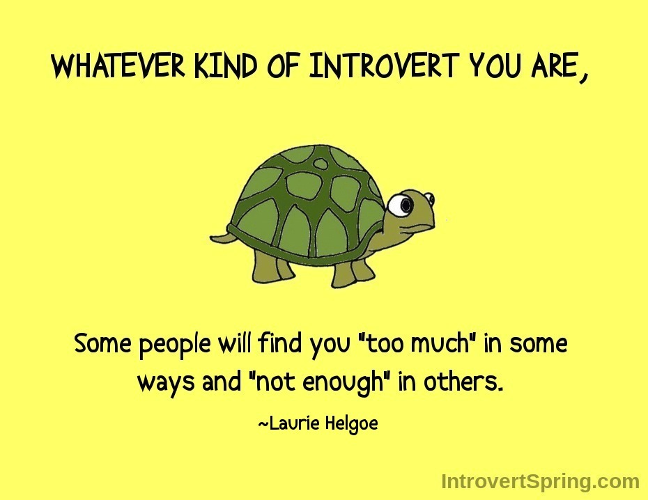 Whatever Kind of Introvert (Good)