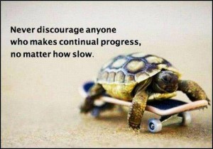 turtle meme slow progress skateboard
