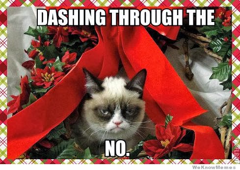 grumpy cat sister meme