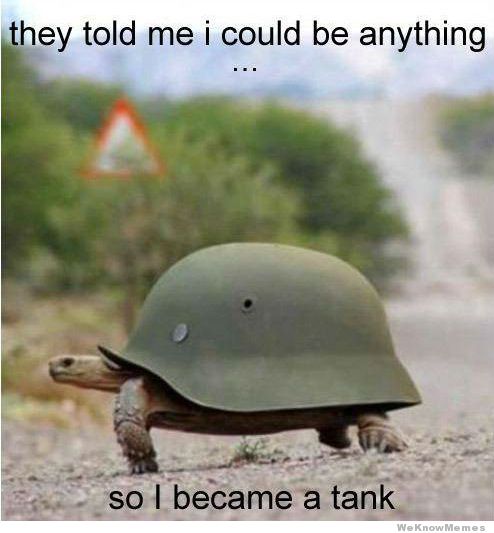 turtle meme