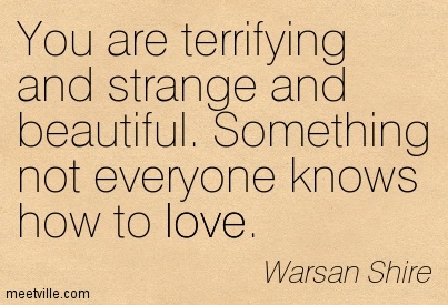 Warsan Shire - you are terrifying and strange and beautiful