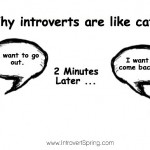 The problem only an introvert personality will understand (*hint* it makes us like a cat)