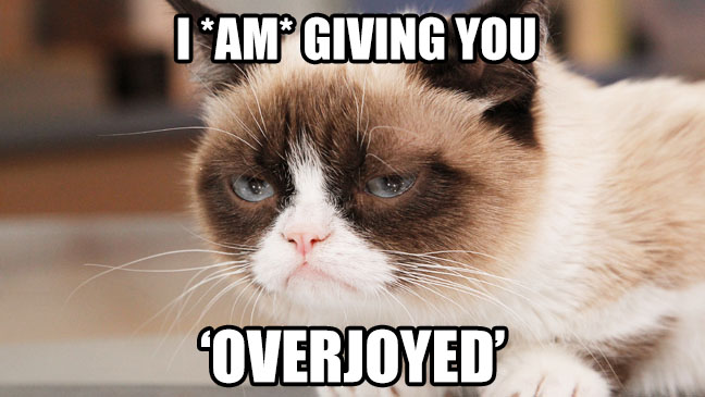 grumpy cat meme overjoyed sarcasm