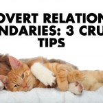 Introvert Relationship Boundaries: 3 Crucial Tips