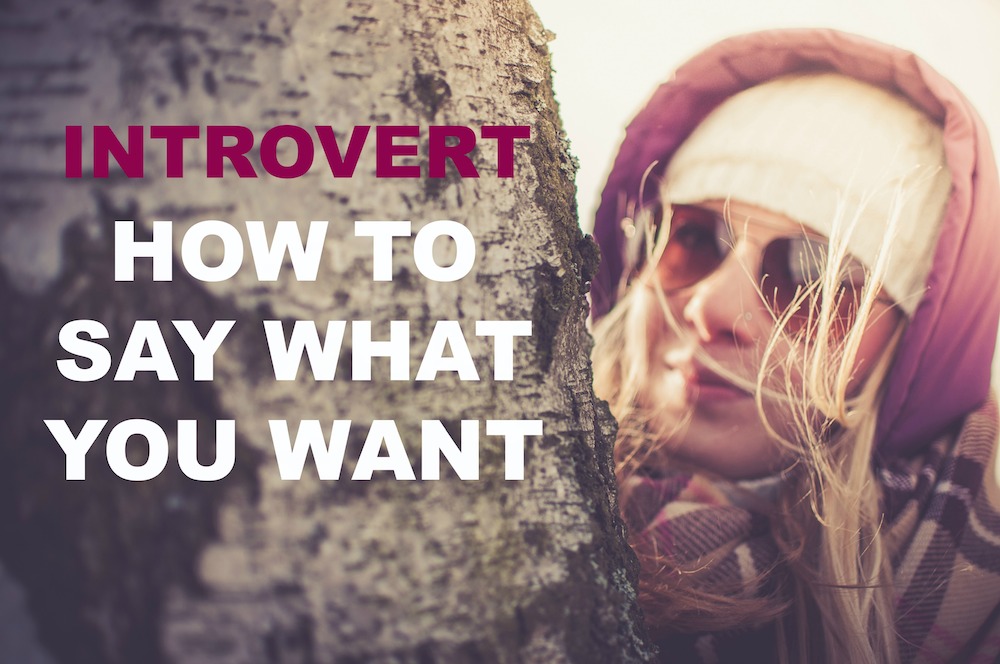 Introvert: How To Say What You Want