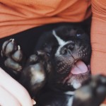 Got the Mondays? 3 Ways Introverts Can Feel Better Fast