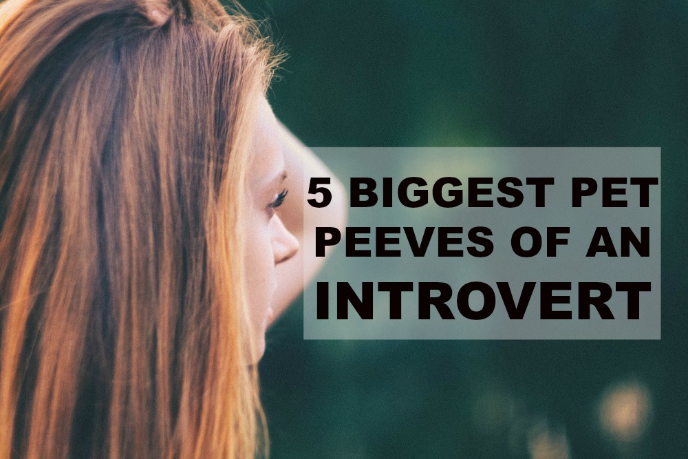 5 Biggest Pet Peeves Of An Introvert Introvert Spring