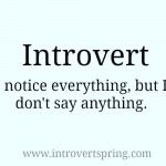 Introvert – I notice everything