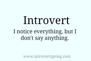 introvert i notice everything