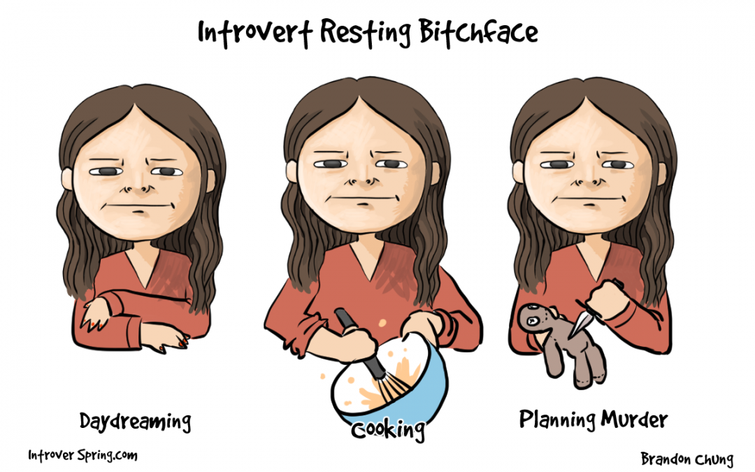 The Introvert Resting B*tch Face
