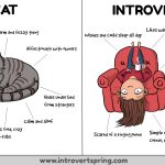 Funny Comic Explains Why Introverts Are Like Cats